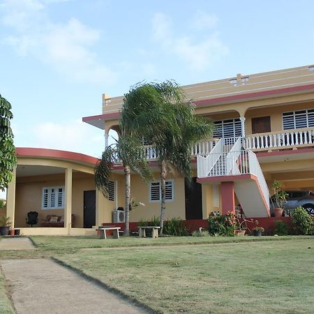 Jardin Del Mar Guesthouse هاتيلو المظهر الخارجي الصورة