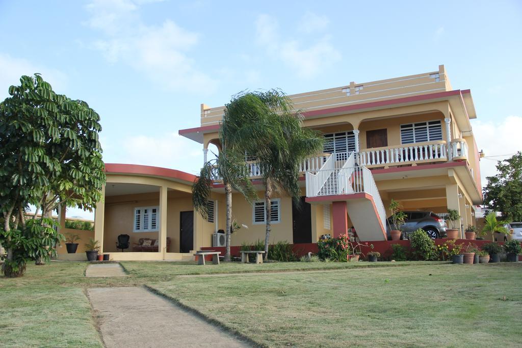 Jardin Del Mar Guesthouse هاتيلو المظهر الخارجي الصورة
